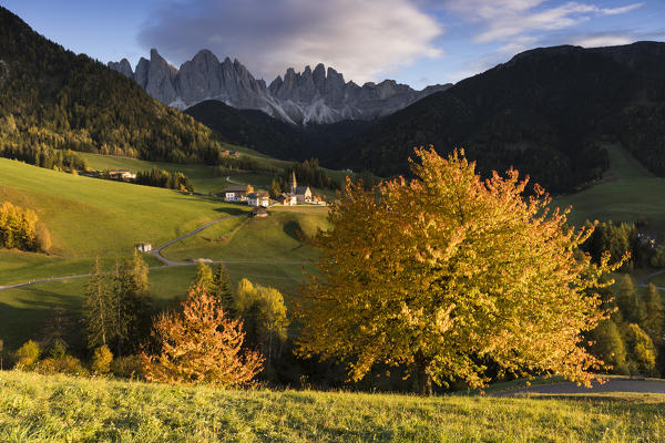 the typical autumnal landscape in Villnössertal with the famous alpine village and Geisler Group in the background, Bolzano province, South Tyrol, Trentino Alto Adige, Italy