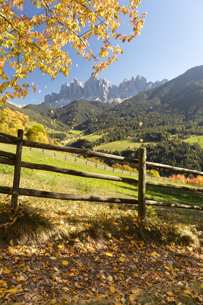 Autumnal landscape in Villnössertal with the Geisler Group in the background, Bolzano province, South Tyrol, Trentino Alto Adige, Italy