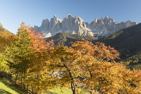the typical autumnal landscape in Villnössertal with the Geisler Group in the background, Bolzano province, South Tyrol, Trentino Alto Adige, Italy