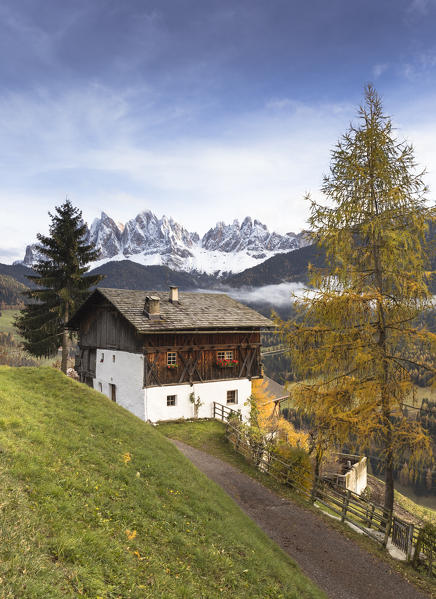 the typical alpine hut in Villnössertal with the Geisler Group in the background, Bolzano province, South Tyrol, Trentino Alto Adige, Italy
