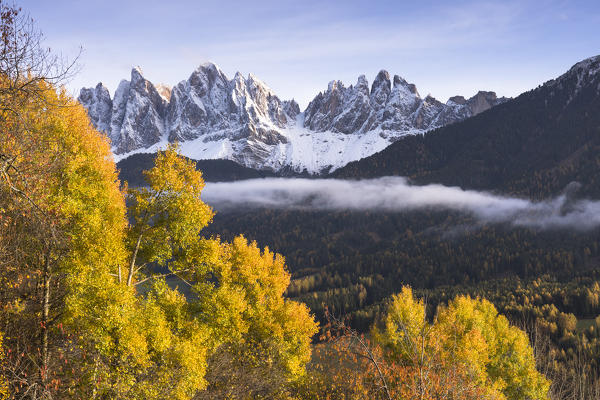 a view of an autumnal sunset in Villnössertal, with yellow trees and the Geisler Group in the background, Bolzano province, South Tyrol, Trentino Alto Adige, Italy
