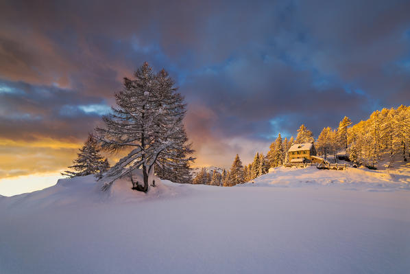 Beautiful sunrise at the Pietro Crosta Hut surrounded by a lot of snowy larches after a snowfall in winter.
This refuge is located at the Alp Solcio in the Ossola Valley (Val d'Ossola).
(Alp Solcio, Varzo, Verbano Cusio Ossola province, Piedmont, Italy, Europe)