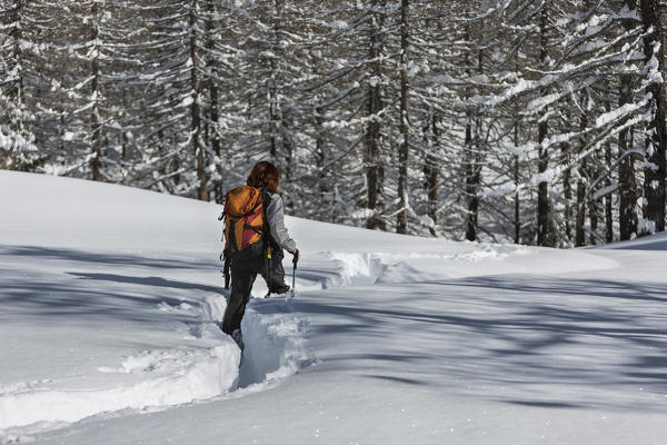 A girl hiking in winter in Alp Solcio near the Pietro Crosta hut (Alp Solcio, Varzo, Verbano Cusio Ossola province, Piedmont, Italy, Europe)