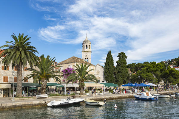 Cavtat village and harbor (Konavle, Dubrovnik, Dubrovnik-Neretva county, Dalmatia region, Croatia, Europe)