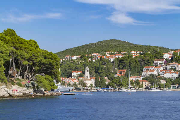 Cavtat village and harbor, view from the sea (Konavle, Dubrovnik, Dubrovnik-Neretva county, Dalmatia region, Croatia, Europe)