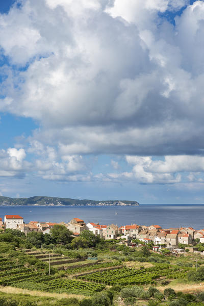 View of Komiza village and its bay (Komiza, Vis, Vis Island, Split-Dalmatia county, Dalmatia region, Croatia, Europe)