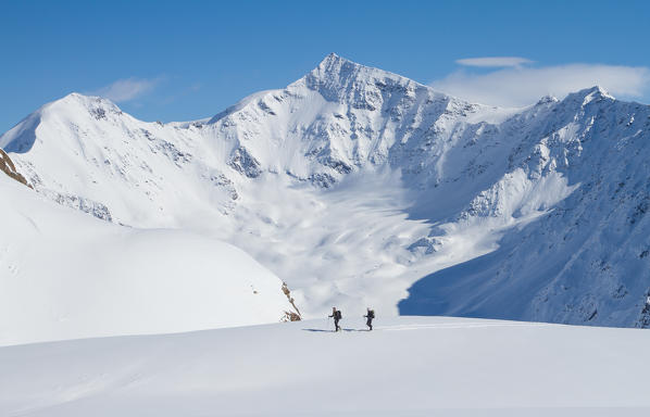 Ski mountaneering in Forni glacier (Valtellina, Lombardy, Alps)