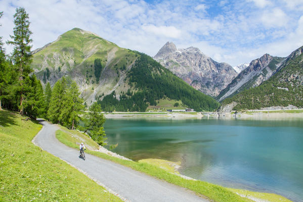 Europe, Italy, Lombardy, Sondrio. Mountain biker at Livigno lake in summer