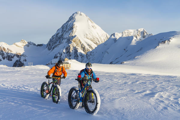 Cevedale glacier, Central Alps, Lombardy, Italy. Fat bikers in the Cevedale glacier during winter