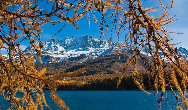 One of the Engadin's lake during autumnal colors. Sils - Switzerland