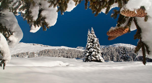 Christimas winter's landscape above Santa Caterina Valfurva, Valtellina, Lombardy
