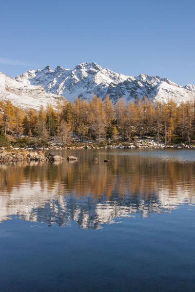 Alpin lake in Valtellina mountains with yellow larches. Valgrosina - Lombardy - Italian Alps