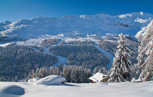 Santa Caterina Valfurva's ski run, viewed from Ables, high Valtellina, Lombardy