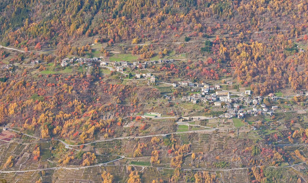 Autumnal colours between Valtellina vineyeards