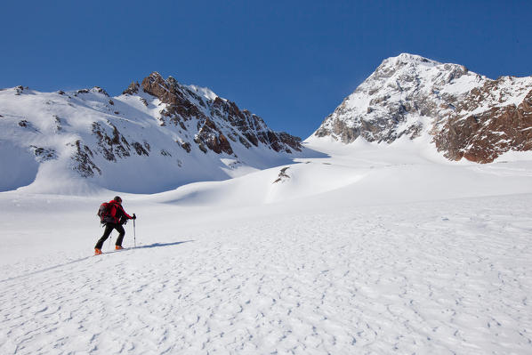Europe, Italy, Lombardy. Ski mountaneering to Gran Zebrù - Konigspitze in Valfurva