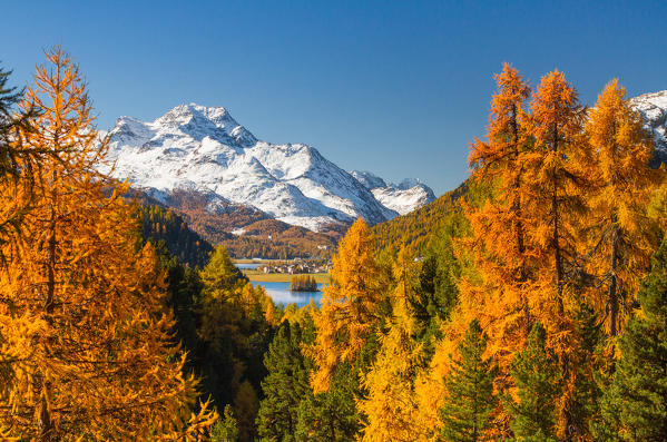 Europe, Switzerland, Grisons. Autumnal landscape of Saint Moritz in Swiss Alps, Engadin