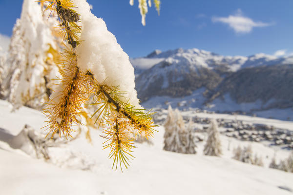 Winter landscape in Livigno after a snowfall. Valtellina - Lombardy
