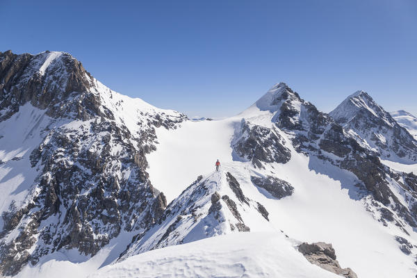 Ski mountaneer on the top of Eiskogel in Ortles-Cevedale group. Valfurva, Valtellina, Sondrio, Lombardy, Italy