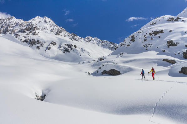 Ski mountaneers in Zebru valley. Santa Caterina Valfurva, Sondrio district, Lombardy, Italy