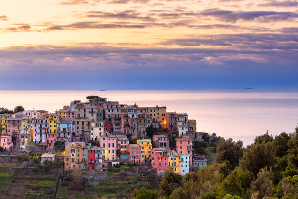 Colourful houses of Corniglia at sunrise. Cinque Terre, Liguria, Italy, Europe.