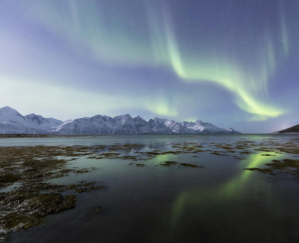 Northern lights is reflected on the icy shore. Spaknesora naturreservat, Djupvik, Lyngenfjord, Lyngen Alps, Troms, Norway, Lapland, Europe.