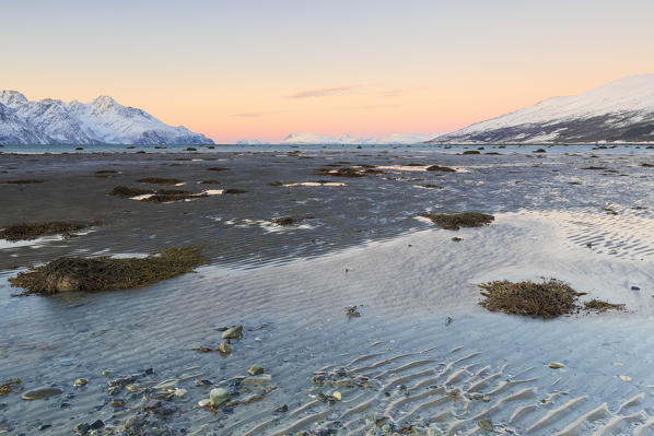 The colors of sunset illuminate the shoreline at low tide. Spaknesora naturreservat, Djupvik, Lyngenfjord, Lyngen Alps, Troms, Norway, Lapland, Europe.