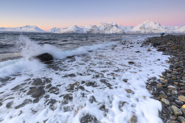 Photographer at work on a beach overlooking the Lyngen Alps during sunrise. Hammarvika, Lyngenfjord, Lyngen Alps, Troms, Norway, Lapland, Europe.