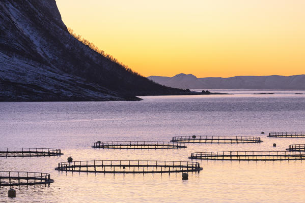 Fish farming in the fjord in front of Torsken. Torsken, Torskefjorden, Senja, Norway, Europe.