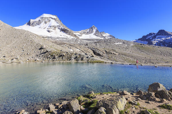 Hiker runs along the banks of the Moncorvè lake. Vittorio Emanuele II Hut, Valsavarance, Gran Paradiso National Park, Aosta Valley, Italy, Europe
