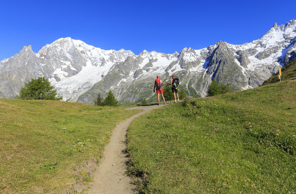 Trail runners enjoy the Mont Blanc panorama. Bertone Hut, Ferret Valley, Courmayeur, Aosta Valley, Italy, Europe