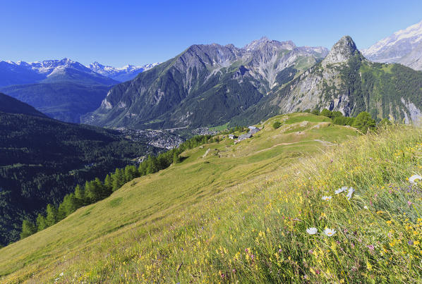 Flowered meadows upstream of the Bertone Hut overlooking Courmayeur. Bertone Hut, Ferret Valley, Courmayeur, Aosta Valley, Italy, Europe