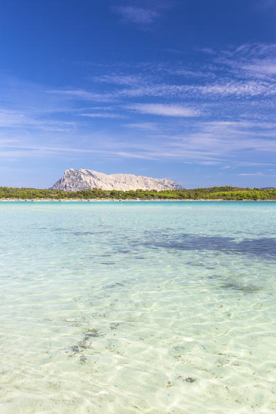 Turquoise water at Cala Brandinchi, San Teodoro, Olbia Tempio province, Sardinia, Italy, Europe.