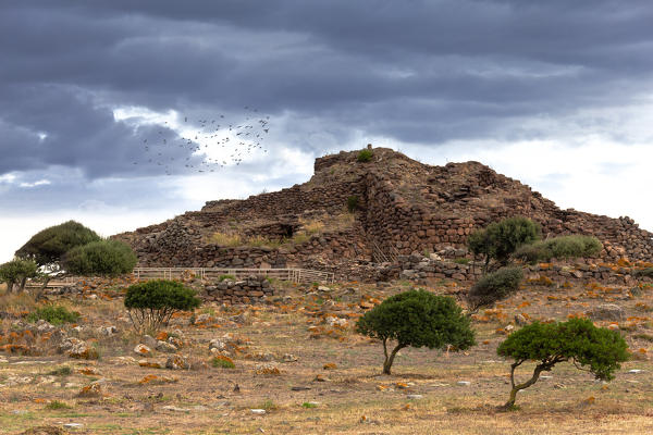 Flock of birds fly on Nuraghe Seruci, Gonnesa, Sud Sardegna province,  Sardinia, Italy, Europe.