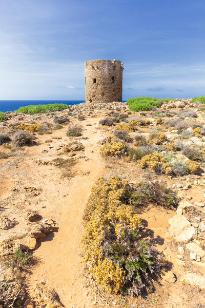 Tower of Cala Domestica, Iglesias,Sud Sardegna province, Sardinia, Italy, Europe.