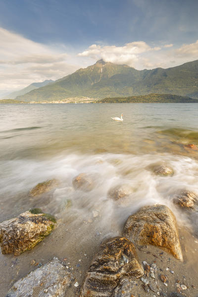 Lake Como and Legnone mount from Domaso shore, Como province, Lombardy, Italy, Europe