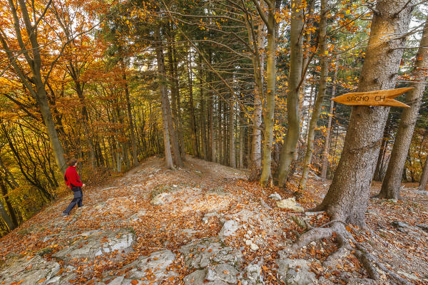 Hiker walks around woods of Bisbino mount, Como province, Lombardy, Italy, Europe (MR)