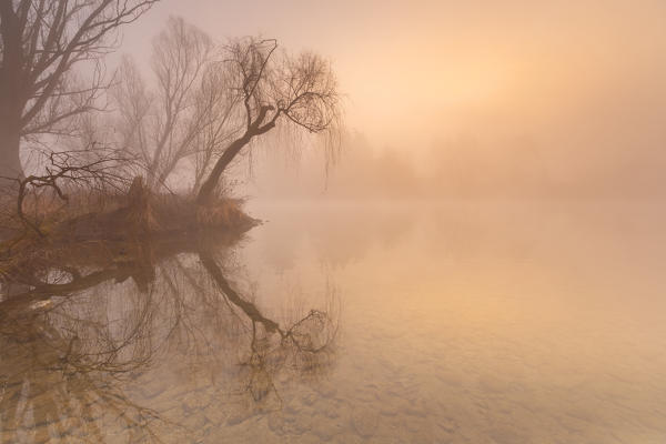 Sunrise on Adda river, Brivio, Lecco province, Brianza, Lombardy, Italy, Europe