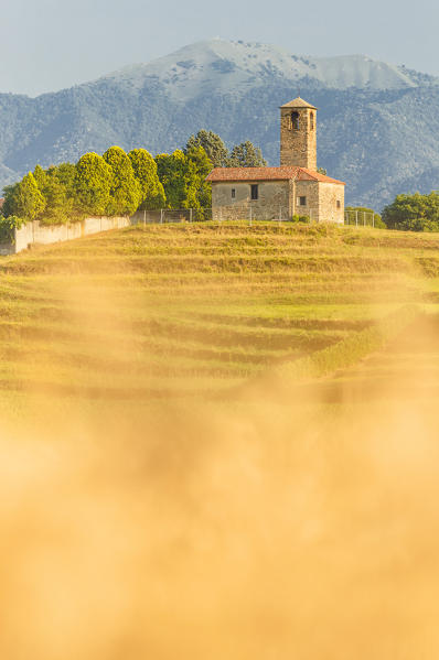 San Martino church, Garbagnate Monastero, Lecco province, Brianza, Lombardy, Italy, Europe