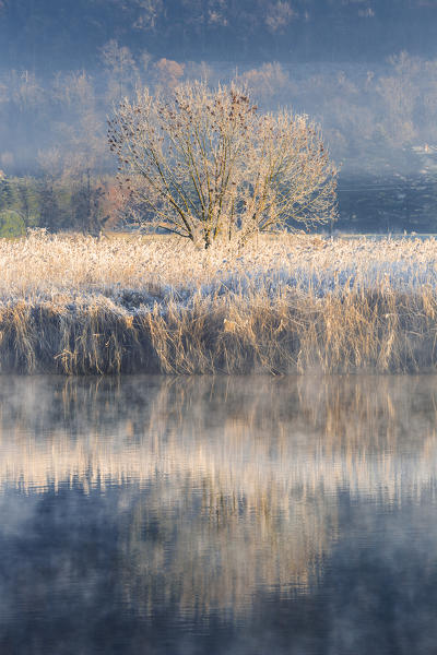 Frozen sunrise on Adda river, Airuno, Brianza, Lecco province, Lombardy, Italy, Europe