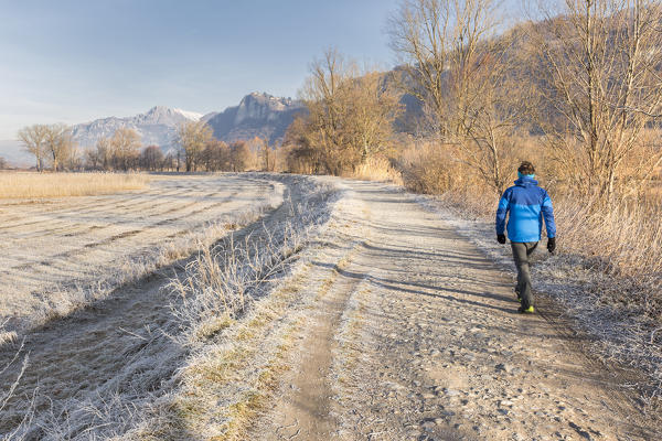Hiker walks on paths of Adda nord park, Airuno, Brianza, province of Lecco, Lombardy, Italy, Europe (MR)