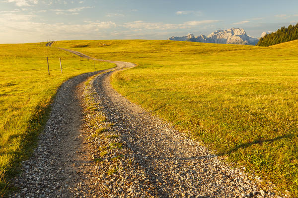 Pathways of the Non valley with Brenta group on the background, Cles, Trento province, Trentino Alto Adige, Italy, Europe