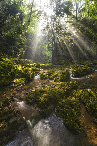 Rays of light near Fermona waterfall, Ferrera di Varese, Varese province, Lombardy, Italy, Europe