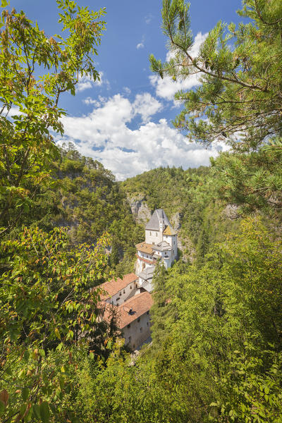 Summer trees frame San Romedio monastery, Sanzeno, Predaia, Non valley, Trento province, Trentino Alto Adige, Italy, Europe