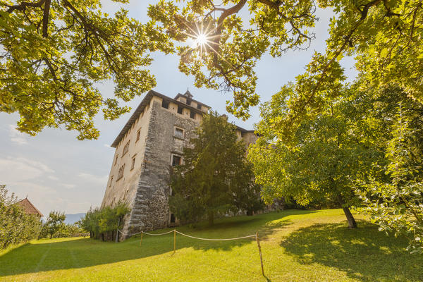 Summer trees frame Nanno castle, Nanno, Ville d'Anaunia, Non valley, Trento province, Trentino Alto Adige, Italy, Europe