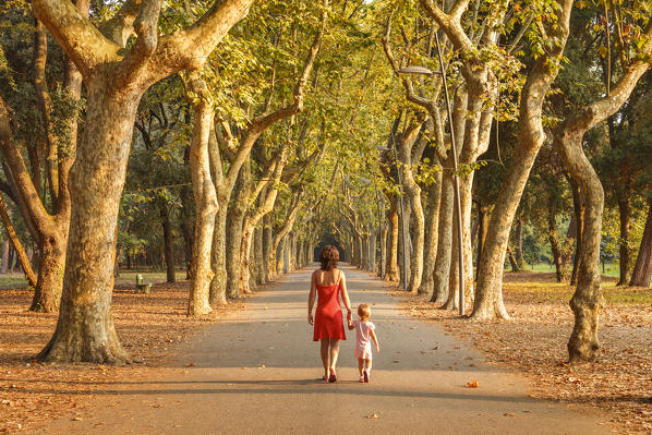 Mom and daughter walking in the pine forest, Pineta di Ponente, Viareggio, Lucca province, Versilia, Tuscany, Italy, Europe (MR)