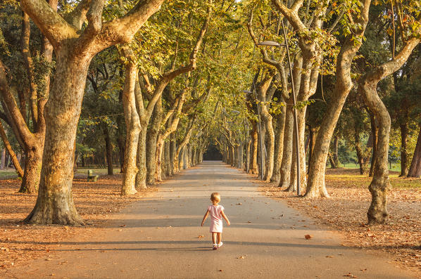Child walks in the pine forest, Pineta di Ponente, Viareggio, Lucca province, Versilia, Tuscany, Italy, Europe (MR)
