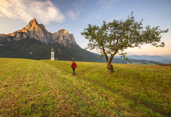 Hiker walks on path to San Valentino church, Siusi Allo Sciliar, Castelrotto, Bolzano province, South Tyrol, Trentino Alto Adige, Italy, Europe (MR)