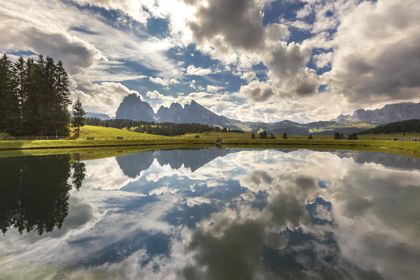 Alpe di Siusi/Seiser Alm, Sassolungo and Sassopiatto Dolomites, South Tyrol, Bolzano province, Trentino Alto Adige, Italy, Europe