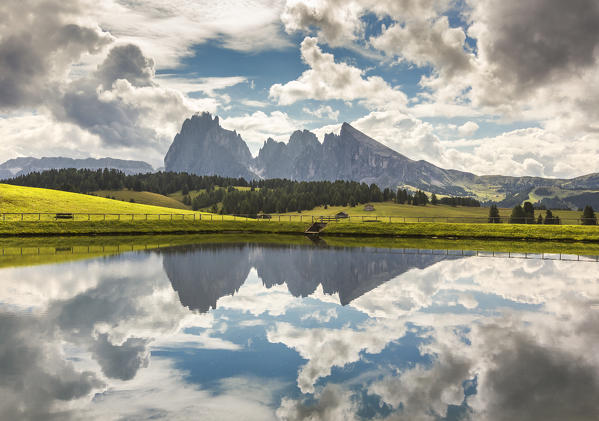 Alpe di Siusi/Seiser Alm, Sassolungo and Sassopiatto Dolomites, South Tyrol, Bolzano province, Trentino Alto Adige, Italy, Europe