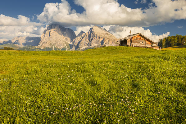 Alpe di Siusi/Seiser Alm, Sassolungo and Sassopiatto Dolomites, South Tyrol, Bolzano province, Trentino Alto Adige, Italy, Europe